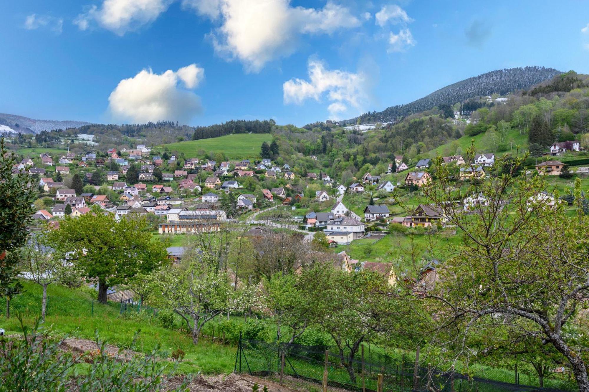 Gite En Montagne Vosges Alsaciennes Fréland Eksteriør billede